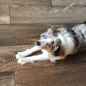 Meet your Posher, Ssophie